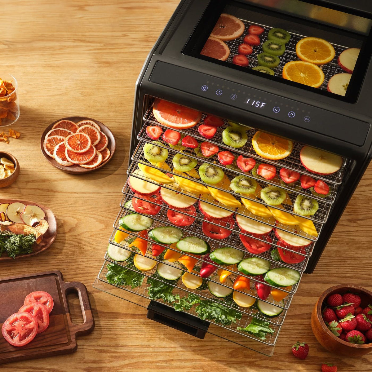 Performance Series 10-Tray Food Dehydrator, Steel, 700W, Stainless Steel, Black