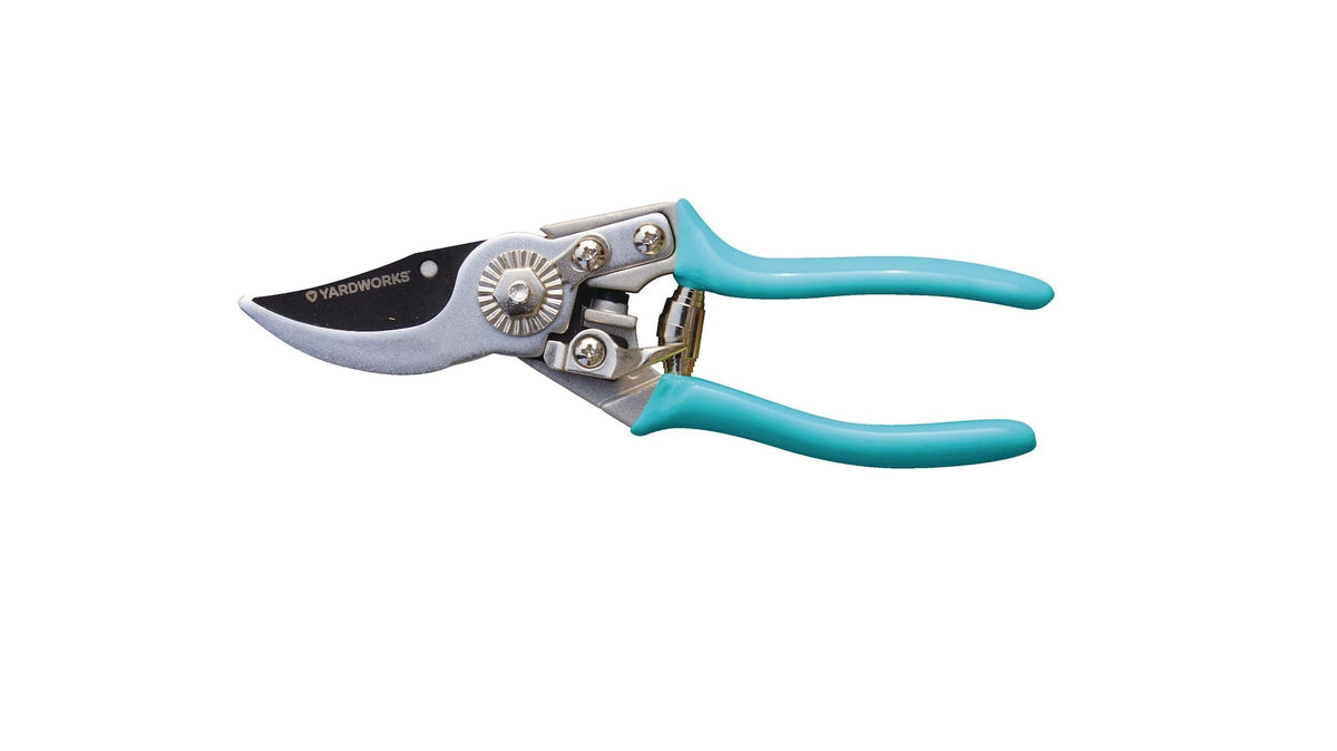 Coloured Pruner