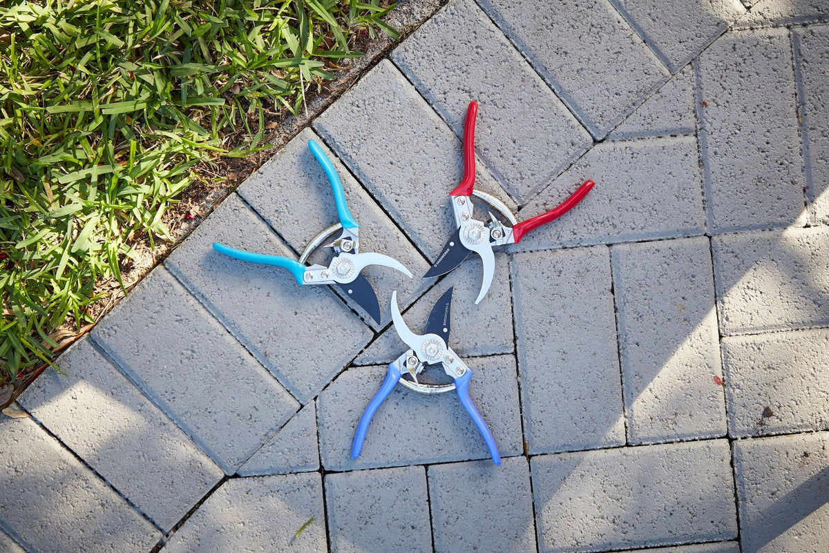 Coloured Pruner