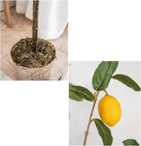 Fake Bonsai Tree The Artificial Plant Small Potted Plant Decorates The Artificial Flower Lemon Tree, 37 Inches High, It is A Good Choice Both Indoors and Outdoors. Artificial Bonsai Tree