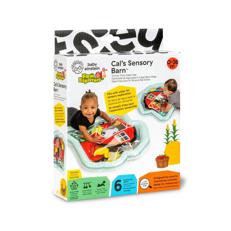 Cal's Sensory Barn Tummy Time Water Mat R6213