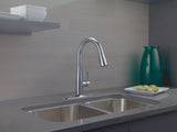 1-Handle Pull-Down Kitchen Faucet Arctic, Stainless
