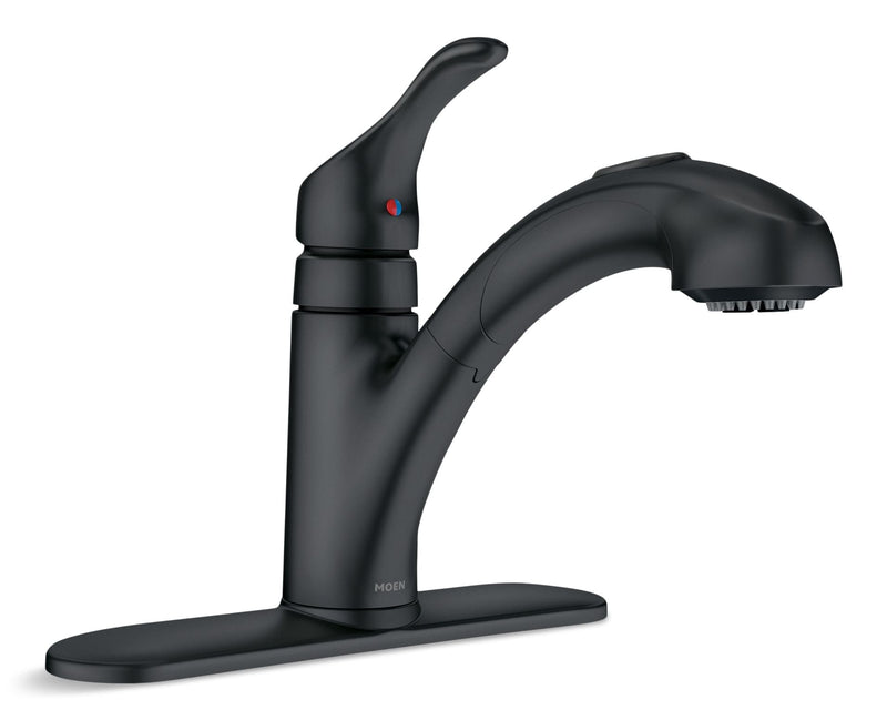 Renzo Single-Handle Pull-Out Kitchen Faucet, Matte Black Q2841