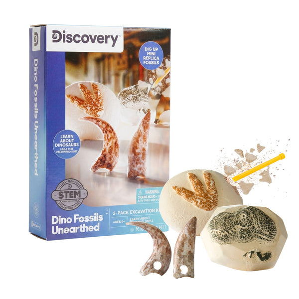 Toy Excavation Kit Mini Unearthed Dino Fossils 2pc L2544